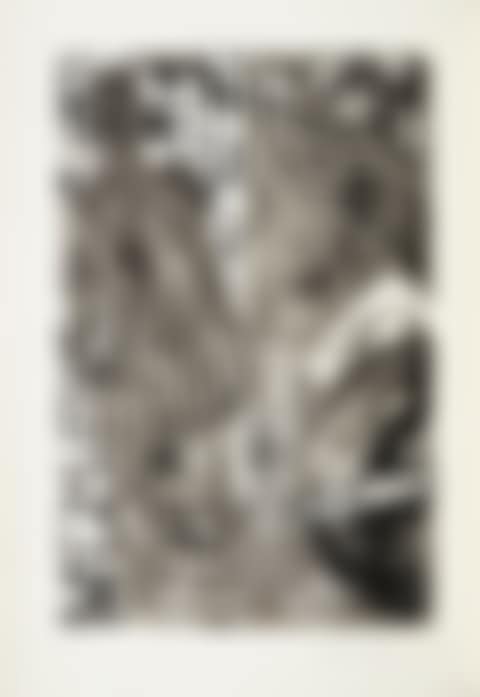 Poems (preview)