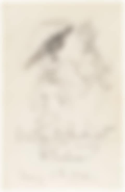 Untitled (Two Women) (preview)