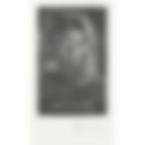 Portrait de gentilhomme. 13 mars (preview)