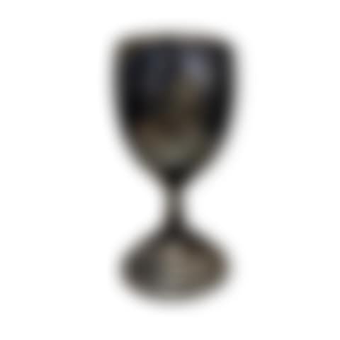 TROPHÉE SUR PIÉDOUCHE EN MÉTAL ARGENTÉ (preview)