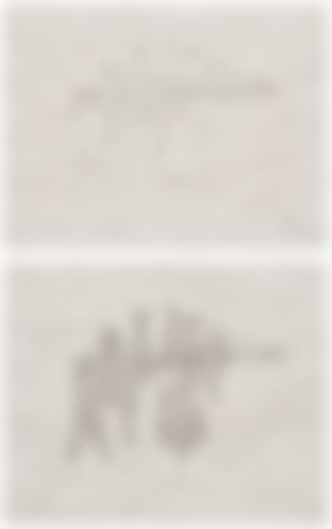 The Nine Malic Moulds: two states, from The Large Glass and Related Works, vol. I (S. 625a & 625c) (preview)