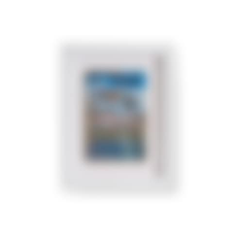 Shoalhaven Riverside and Swan (preview)