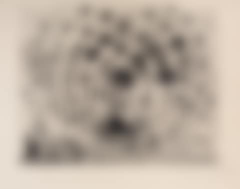 Argus (preview)