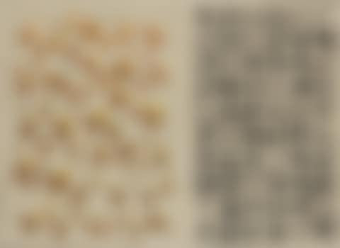 Recurrence SA91009-1991 (preview)