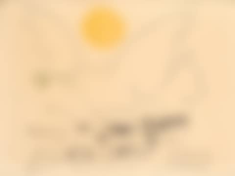 COLOMBE AU SOLEIL Print (preview)