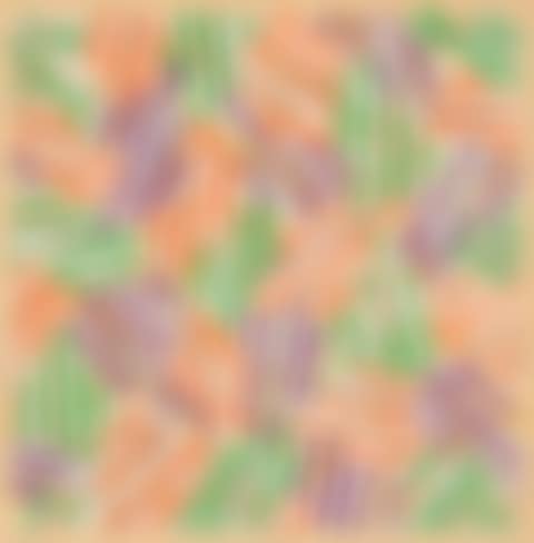 Untitled (CATALOG COVER) (preview)