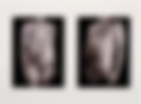 Nude Iris (preview)