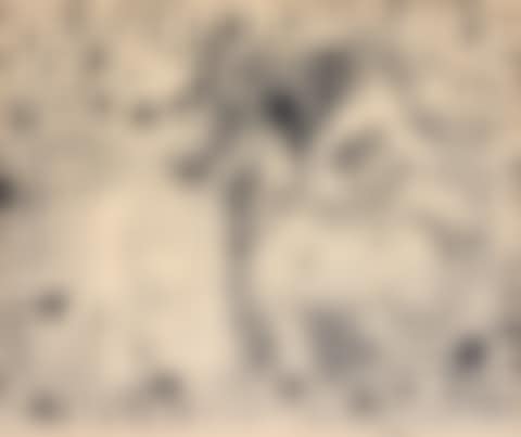 L"ECUYERE Lithograph (preview)