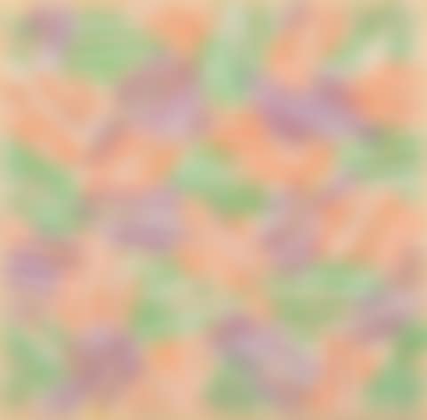 Catalogue cover edition (preview)
