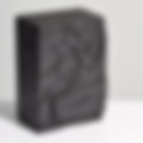 "Rain Garden Cryptic" Box Sculpture (preview)