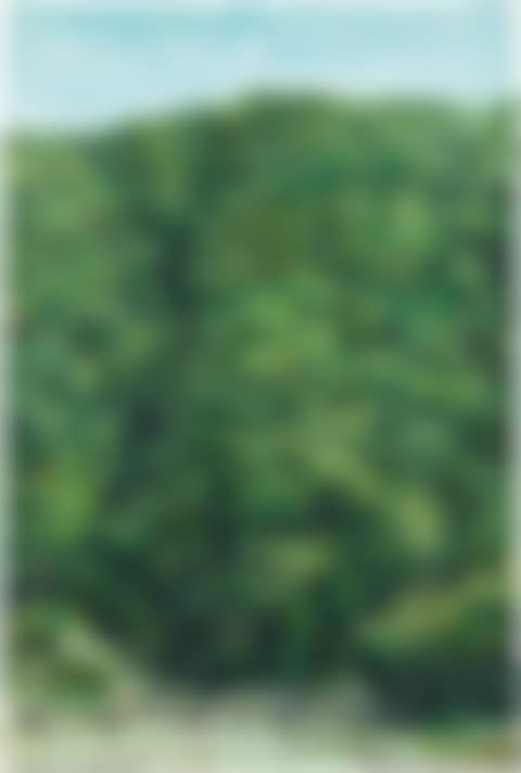Landscape (preview)