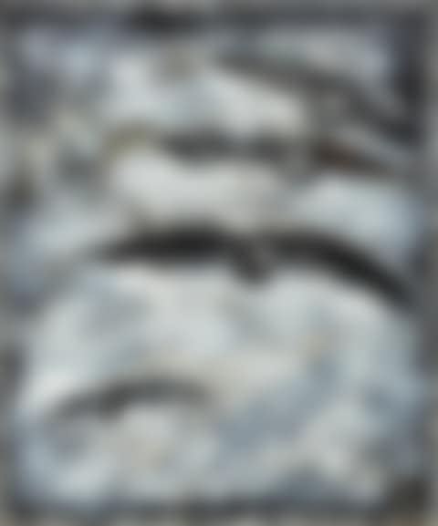 Migrating birds.. (preview)