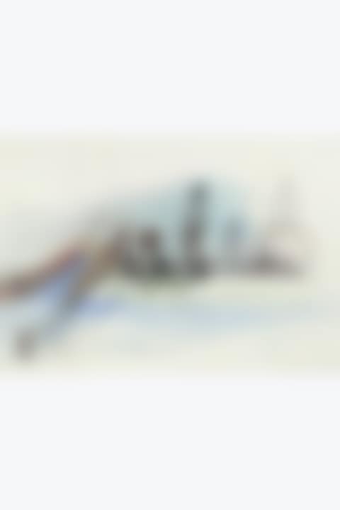 Untitled (preview)