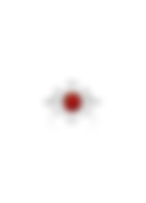 A Ruby and Diamond Ring (preview)