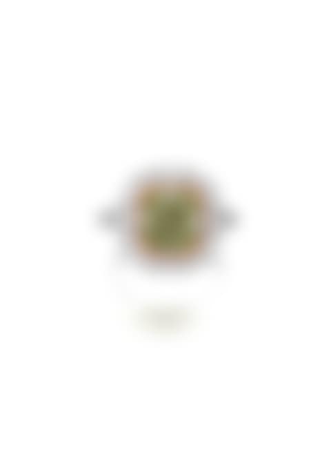 A Coloured Diamond and Diamond Ring (preview)