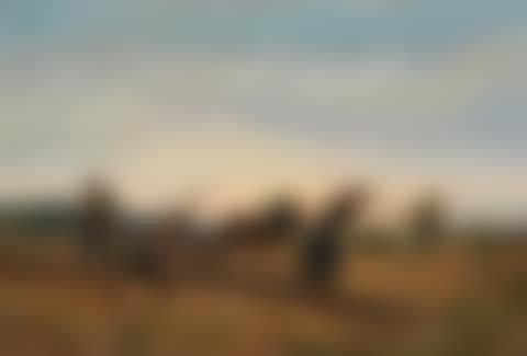 Farm family in the field (preview)