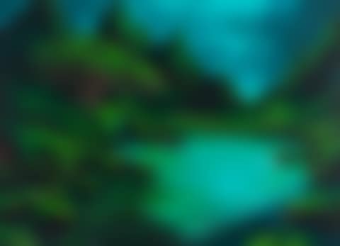 "On the edge of loneliness" (preview)
