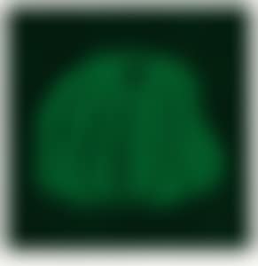Pumpkin (GSQ) (preview)
