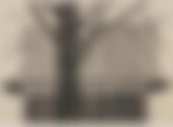 Castle (preview)