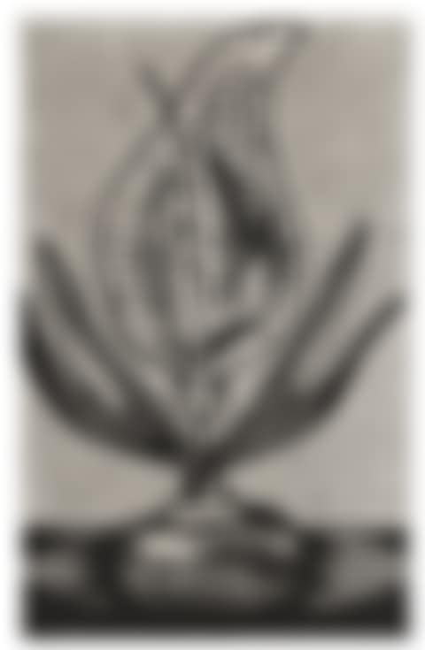 Voodoo Lily (preview)