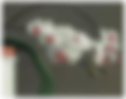 Orchidee II (preview)