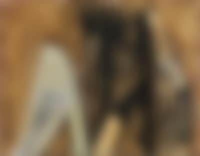 Untitled (preview)