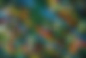 Landscape (preview)