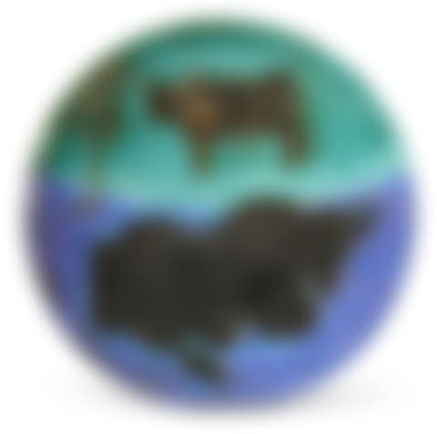 Toros (A.R. 161) (preview)