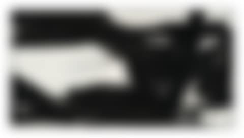 Harleman (preview)