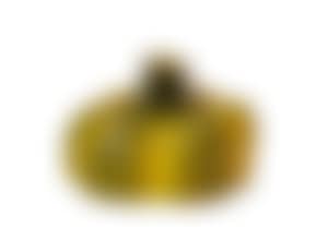 Pumpkin (preview)