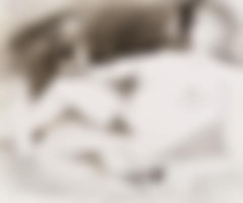 Nu couché à l"oiseau (preview)
