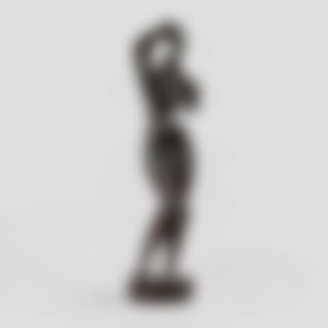 Woman Combing Her Hair (preview)