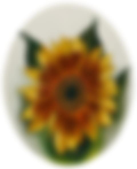 Sunflower (preview)