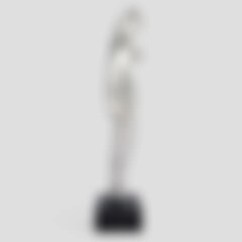 Silver Torso (preview)