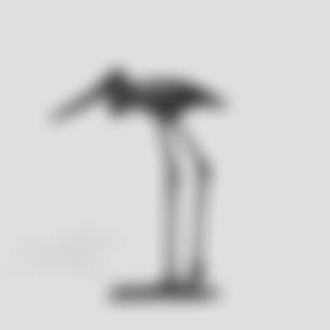 Jabiru d"Afrique, la femelle (preview)
