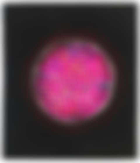 The Flower (No. 2) (preview)