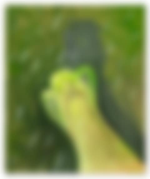 Untitled (preview)