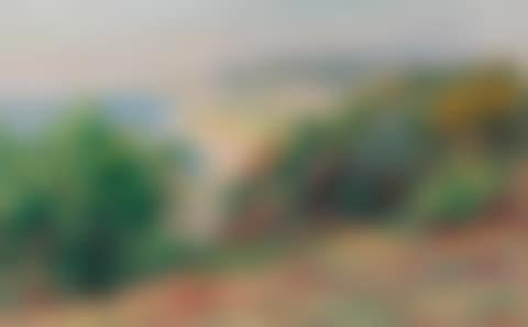 Paysage (preview)