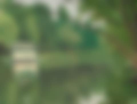 Pont de Champigny (preview)