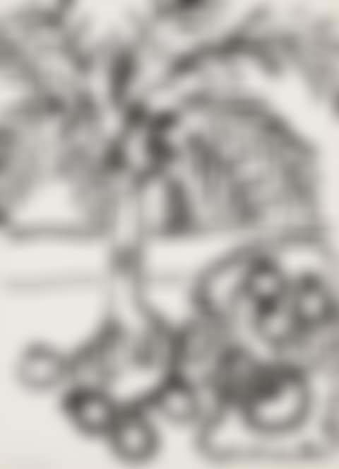 Nature morte, fougères et grenades (preview)