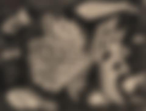 Poissons (preview)