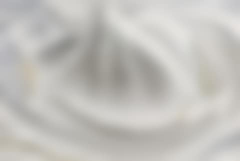 Inside Clam Shell (preview)