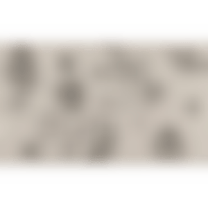 Visionary Field (Kusama 220) (preview)
