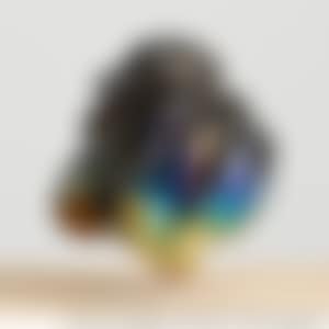 Le Molé (preview)