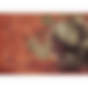 Hangchow 28-16 (preview)