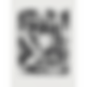 Untitled (O"Conner & Thaw 1095) (preview)