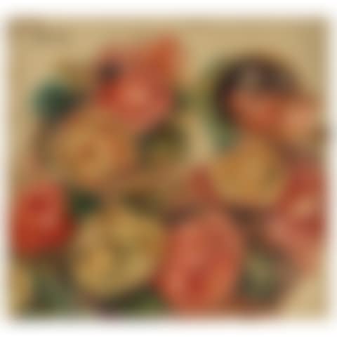Roses et tête de Gabrielle (preview)