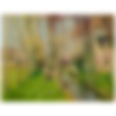 Printemps à Bessé (preview)