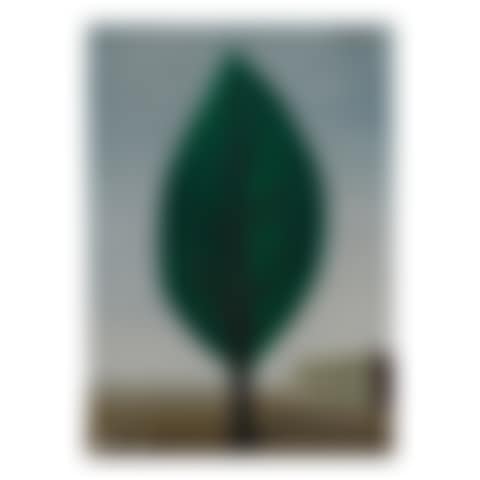 Le miroir vivant (preview)