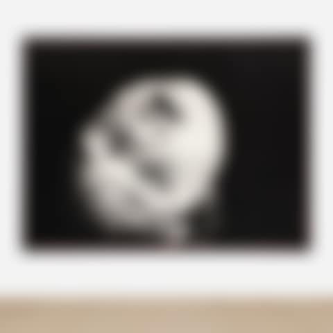 Untitled (Daniel) (preview)
